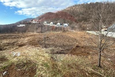 O oportunitate unica - Teren intravilan pe Strada Viillor O oportunitate unica - Teren intravilan pe Strada Viillor - 2