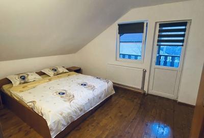 Casă cu 4 camere în Râu Sadului - 6