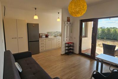 Duplex pe parter de inchiriat mobilat complet - 5