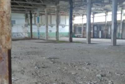 Activ de vanzare la 10 Km de Municipiul Braila ,3 Km de Dunare - 2