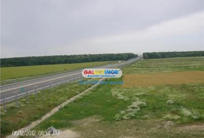 Teren de 8800 mp, în Snagov - 3