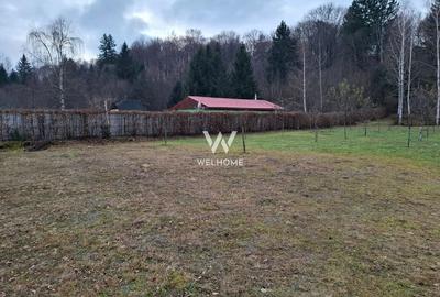 Teren deosebit pozitionat, cu livada, langa padure,  pe Valea Avrigului - 6