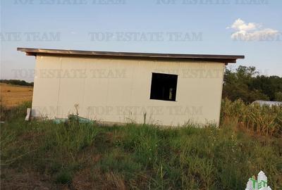 Adunatii Copaceni, teren 1212 mp, hala 136 mp, casa 37.5 mp cu pivnita 12 mp - 3