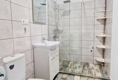 Ideal investitie! 2 apartamente cu 2 camere fiecare, curte privata, Tineretului - 7