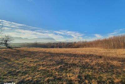 Spațiu comercial, în Bran - 2