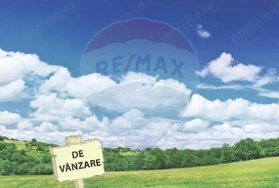 Pasune 21 ha pretabila pentru panouri fotovoltaice,impadurit - 2