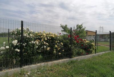 Teren în Central - 5