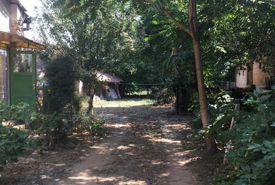 Casă cu 3 camere în Comloșu Mare - 1