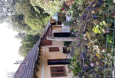 La vanzare doua case locuibile ?i teren 1000 de mp in com. Pietrari, jude?ul Valcea . - 3