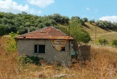 Teren Construcții intravilan de 5550 mp, în Poarta Albă - 1