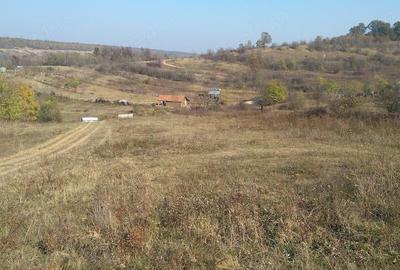Teren de 4900 mp, în Leamna de Sus - 4