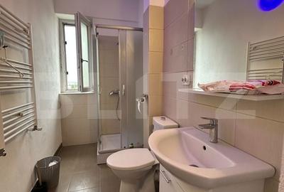 Apartament cu 2 camere semidecomandat în Craiovița Nouă - 7