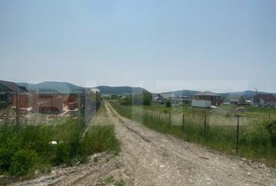 Teren intravilan 900 mp Zona lini?tita Valea Rusului, - 2