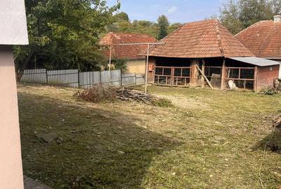 Casă cu 2 camere cu Teren 2200 Mp în Domnin - 2