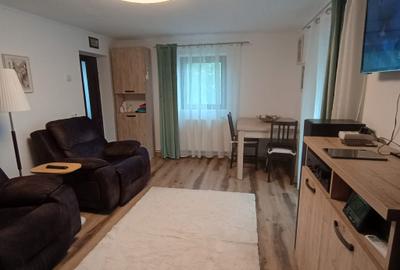 Casa individaual renovata, curte amenjata Boteni de Arges - 24