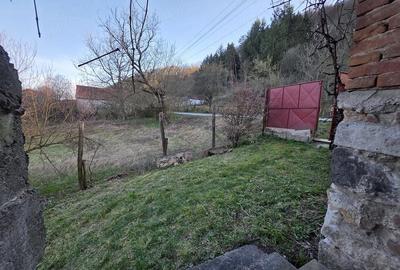 Casă cu 4 camere cu Teren 1887 Mp în Tisa - 19