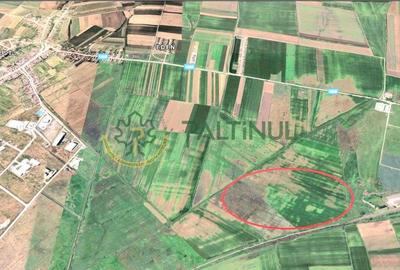 Teren agricol extravilan de 7100 mp, în Șura Mică