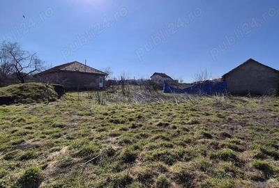 Casă cu Teren 3437 Mp în Central - 4