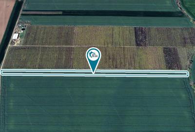 Teren de 10057 mp, în Zimandu Nou - 2