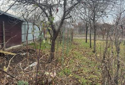 Casă cu 3 camere cu Teren 314 Mp în Freidorf - 8