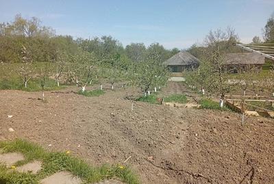 Casă cu Teren 165 Mp în Văleni - 4