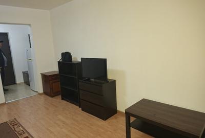 Garsonieră semidecomandată, mobilată în Teiul Doamnei - 7