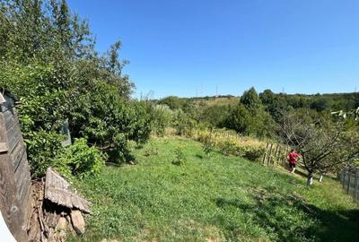 Casă cu 2 camere cu Teren 1248 Mp în Bârnova - 3