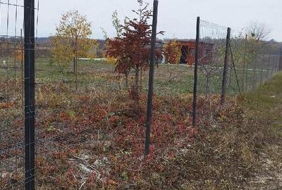 Teren de 400 mp, în Dumitrana