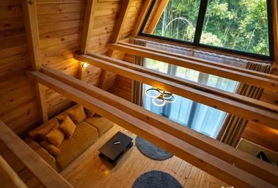 Casă cu 9 camere cu Teren 4000 Mp în Moieciu - 2