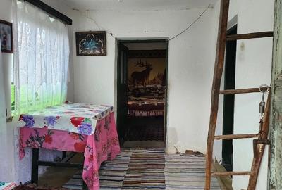 Casă cu Teren 1255 Mp în Săcelu - 4