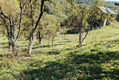 Teren de 2406 mp, în Central - 9