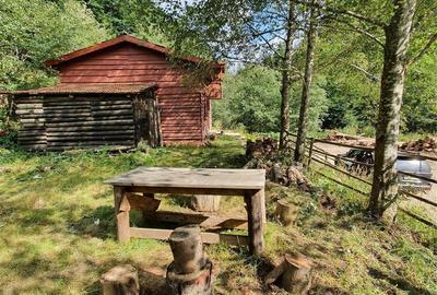 Casă cu 3 camere în Central - 13