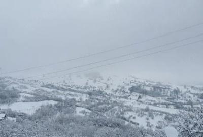 Teren de 5000 mp, în Brăești - 16