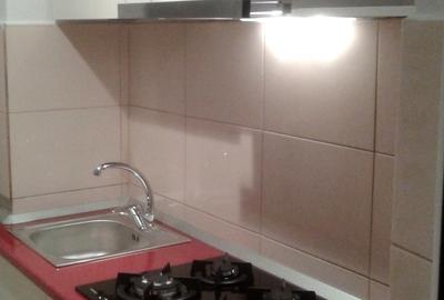 Apartament 1 camera, decomandat, mobilat, rond / piata Alexandru - 3