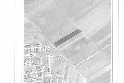 Teren Construcții intravilan de 12000 mp, în Ciorogârla - 2