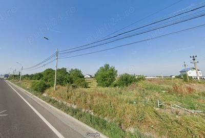 Teren de 4650 mp, în 1 Decembrie