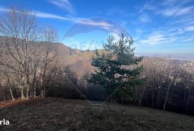 Spațiu comercial, în Schei - 10