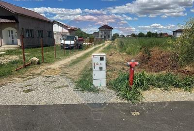 Vanzare Teren 500mp Bolintin-Vale / Strada Bancii - 6