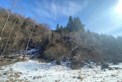 Teren Construcții intravilan de 2694 mp, în Sătic - 6