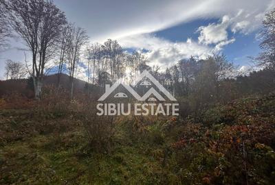 Teren Construcții intravilan de 3000 mp, în Sud - 9