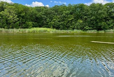 De vanzare teren superb cu deschidere la lacul si padurea Snagov - 4