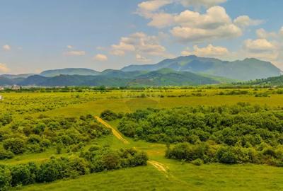 Teren de 10800 mp, în Râșnov - 1