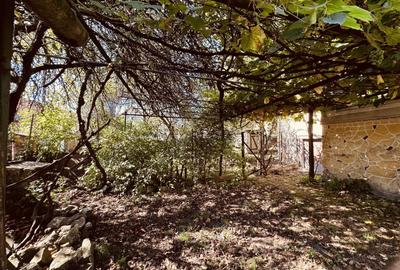 Casa de vacanta - Dognecea, CS - Teren 719 mp | Comision 0% - 10