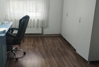 Casă cu 4 camere cu Teren 740 Mp în Pișchia - 2