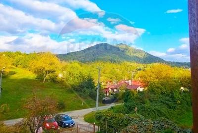 Casa de vanzare cu priveliste superba  zona Valea Borcutului - 10