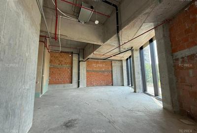 Spatiu comercial parter herestrau verdi - 10