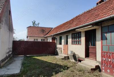 Casa gospodarie in Belint - 7