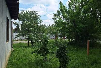 Casă cu 3 camere în Negoești - 1