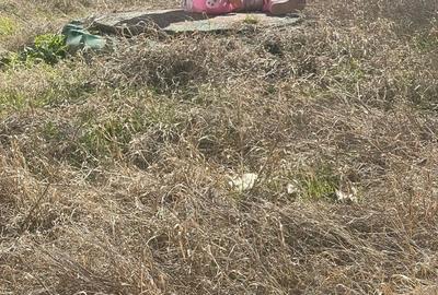 Garsonieră nedecomandată în Ozana - 4
