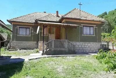 Casă cu 3 camere cu Teren 4000 Mp în Tămașa - 4